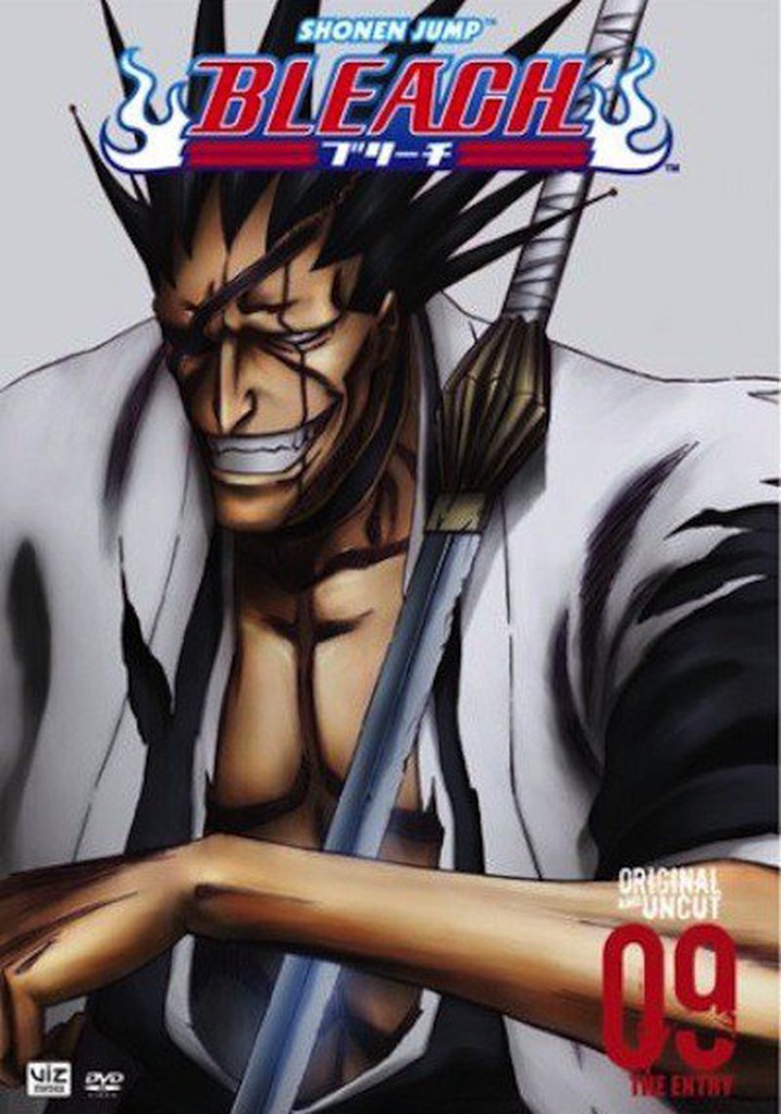 Bleach Season 9 watch full episodes streaming online